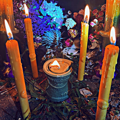 Bringing Wealth Ritual+Money Tree WitchBottle